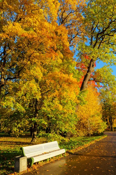 Paesaggio Nel Parco Autunnale Una Mattina Sole — Foto Stock