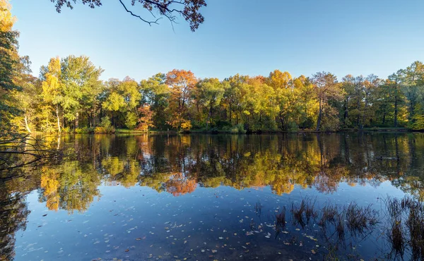 Landschap Met Reflecties Herfst Park — Stockfoto