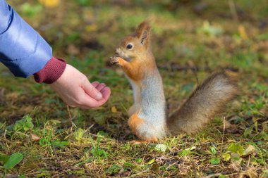 sincap bir kadının avuç yemek yiyor