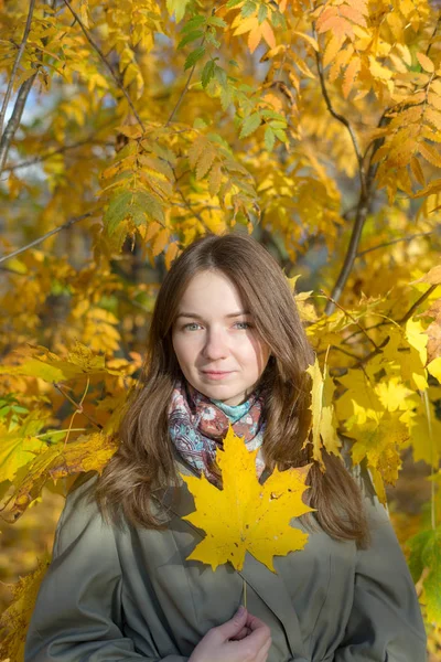 Porträtt Flicka Höst Park — Stockfoto