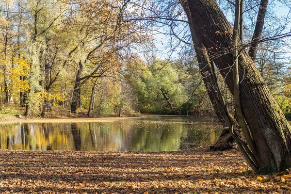 秋の公園での反射のある風景します — ストック写真