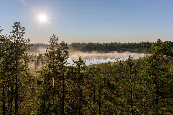 Nevoeiro Matutino Sobre Lago Pântano Floresta — Fotografia de Stock