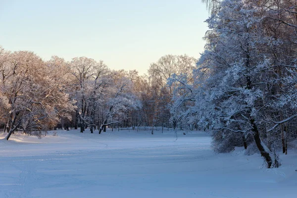 Paisagem Parque Dia Frio Inverno — Fotografia de Stock