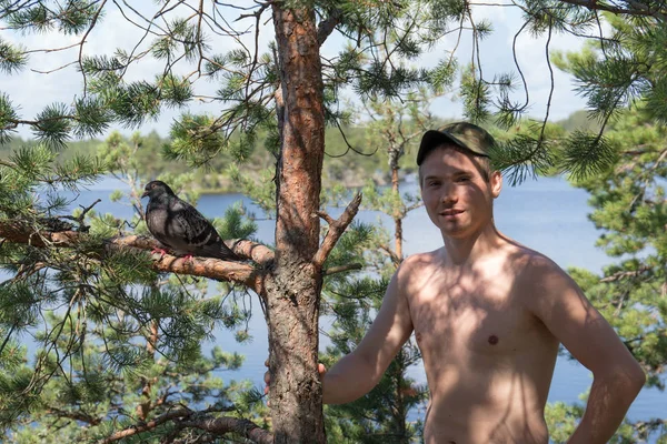 国内ハトと森の中にある男の肖像 — ストック写真