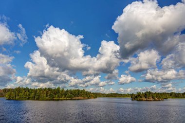 bir orman göl güneşli yaz gününde