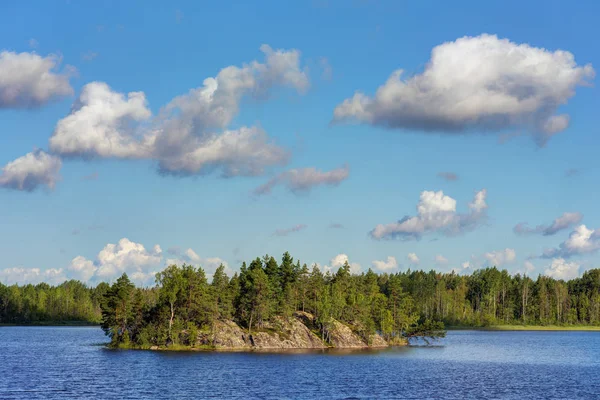 Zonnige Zomerdag Een Bos Meer — Stockfoto