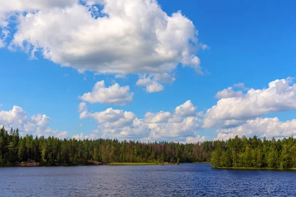 Солнечный Летний День Лесном Озере — стоковое фото