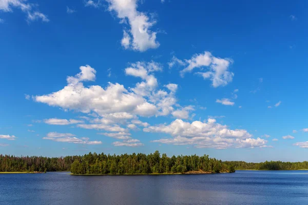 Sunny Summer Landscape Forest Lake — Stock Photo, Image