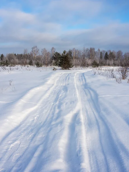 在寒冷的冬日里 有乡村道路的风景 — 图库照片