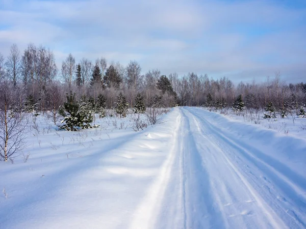 Landskap Med Lantlig Väg Kall Vinterdag — Stockfoto