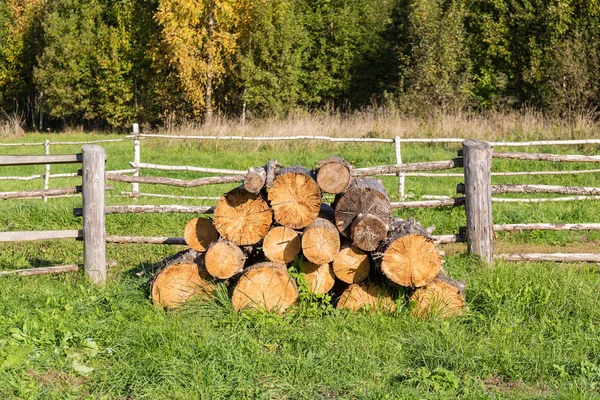 Ländliche Landschaft Mit Trockenen Baumstämmen Zaun — Stockfoto