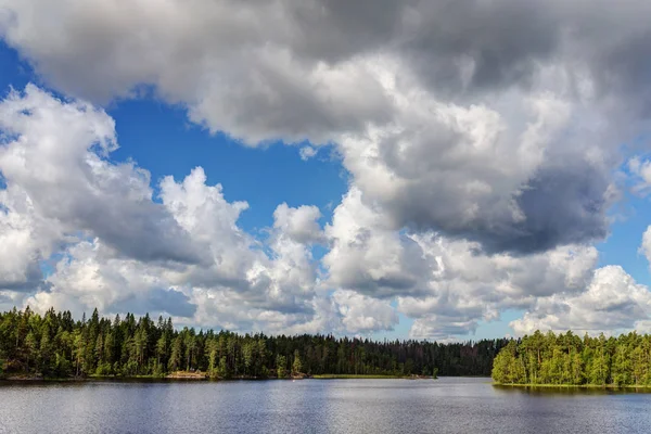 Zonnige Zomerdag Een Bos Meer — Stockfoto