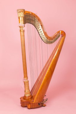 pembe bir arka plan üzerinde güzel altın harp