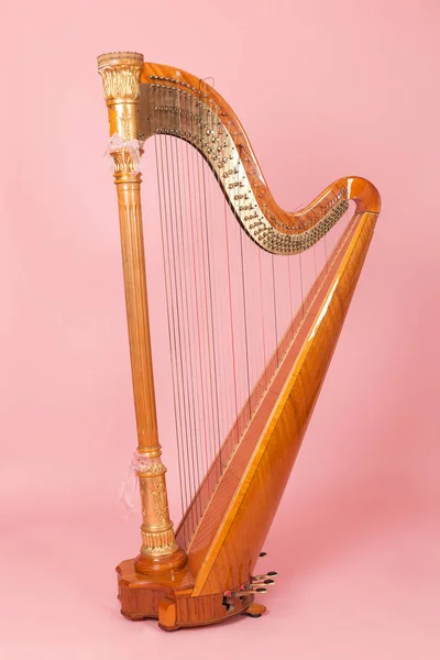 Bela Harpa Dourada Fundo Rosa — Fotografia de Stock