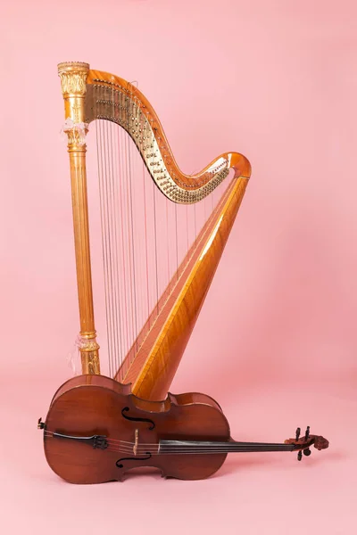 Harpa Violoncelo Fundo Rosa — Fotografia de Stock