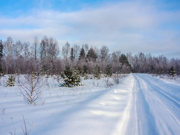 Landscape Rural Road Cold Winter Day — Stock Photo, Image