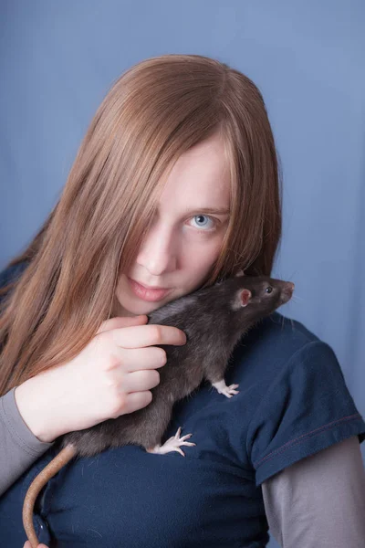 Schwarze Hausratte Sitzt Auf Der Schulter — Stockfoto