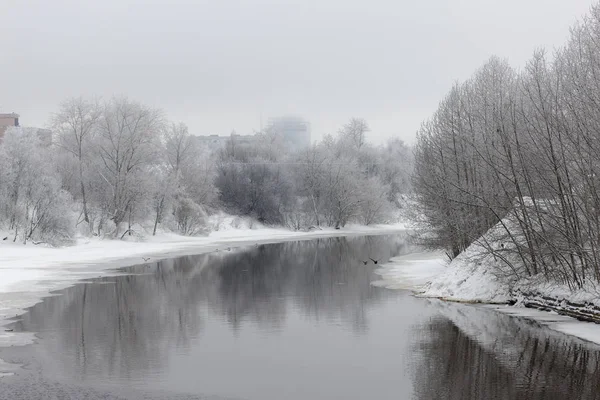 Rivière Hiver Avec Des Arbres Enneigés Sur Rivage — Photo