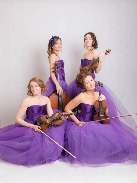 Retrato Estúdio Quarteto Musical Com Instrumentos — Fotografia de Stock
