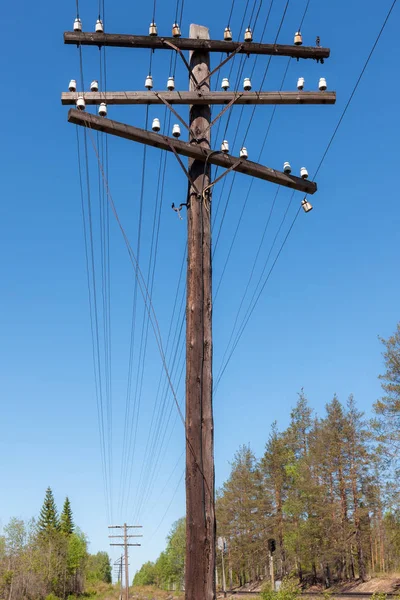 Régi Power Line Pole Erdő — Stock Fotó