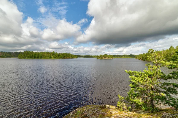 Liggend Een Meer Bos Zomer — Stockfoto