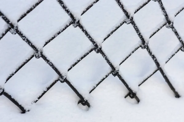 冬の雪で抽象的な格子フェンス — ストック写真