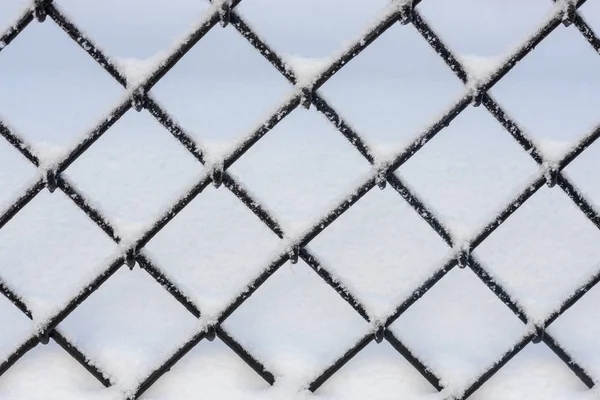 Cerca Grade Abstrata Com Neve Inverno Closeup — Fotografia de Stock