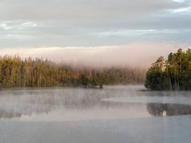 Orman gölde sabah yaz