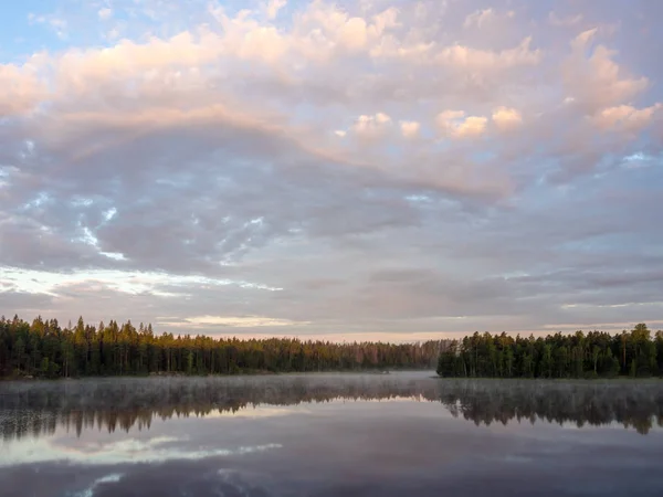 夏天在森林湖上的早晨风景 — 图库照片