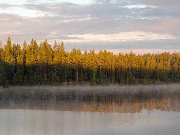 Morgenlandschaft Auf Einem Waldsee Sommer — Stockfoto