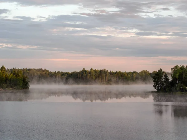 Niebla Matutina Lago Forestal Verano — Foto de Stock