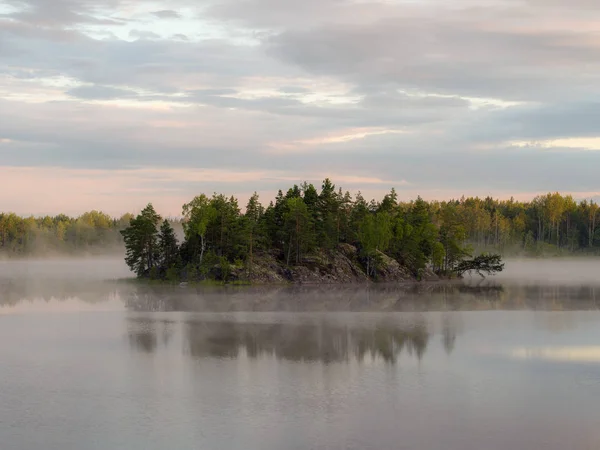 Niebla Matutina Lago Forestal Verano —  Fotos de Stock