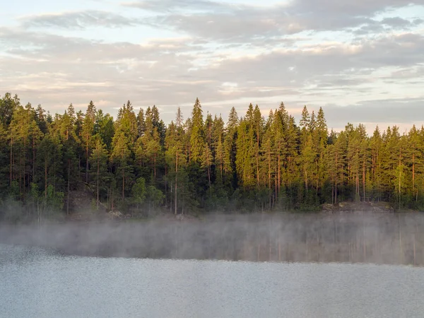 Morgennebel Auf Einem Waldsee Sommer — Stockfoto
