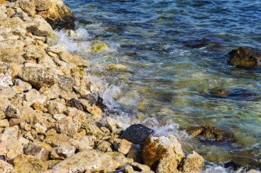 Güneşli bir günde sörf