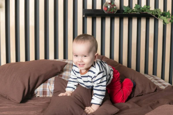 Studio portrait of a little boy — Stock Photo, Image