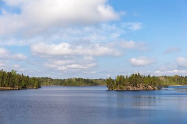 güneşli bir günde orman gölü