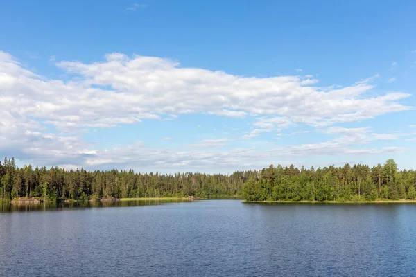 Zomer zonnige landschap Stockfoto