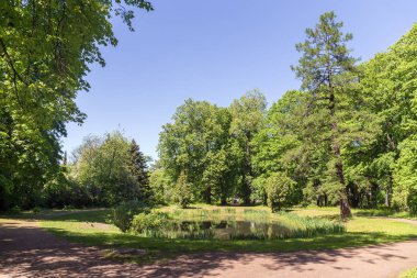 güneşli bir günde bahar parkı