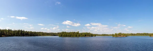 Forest lake in de zomer — Stockfoto