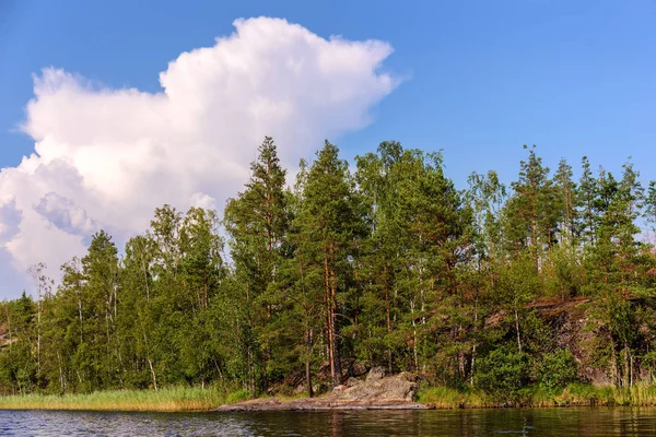 Lago forestale con rocce — Foto Stock