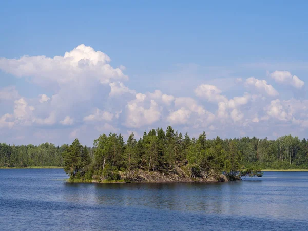 Lago di foresta in estate — Foto Stock