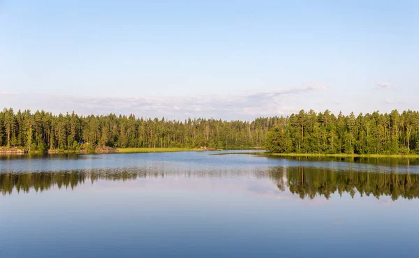 Δάσος στη λίμνη το καλοκαίρι — Φωτογραφία Αρχείου