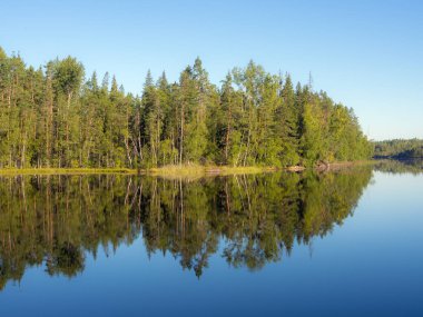orman gölü kıyısı
