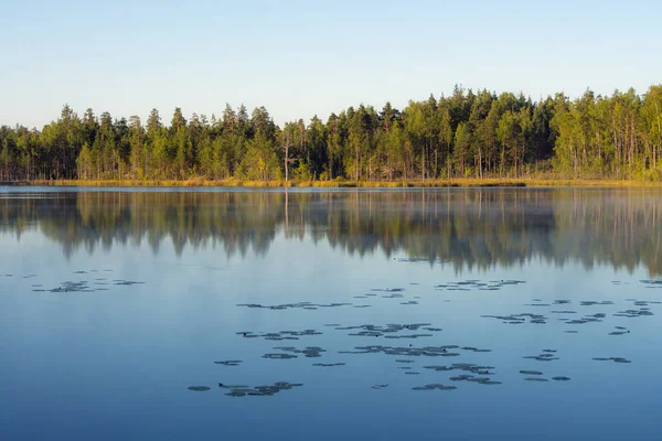 Lago del bosque con reflejos — Foto de Stock