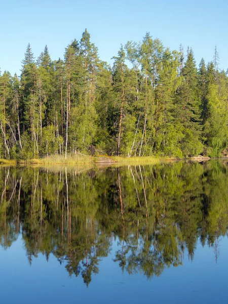 Symétrie matinale sur le lac — Photo