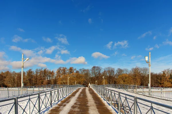 冬の公園の木製の歩道橋 — ストック写真