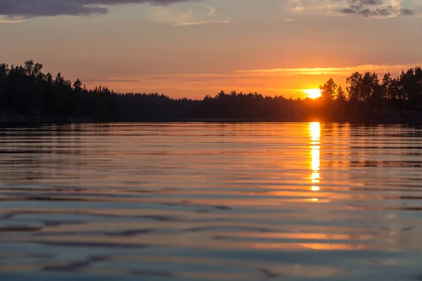 Agua de un lago forestal — Foto de Stock