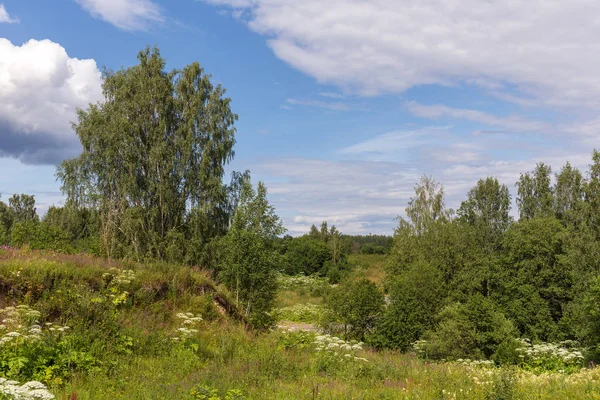 Verde paisagem de verão — Fotografia de Stock