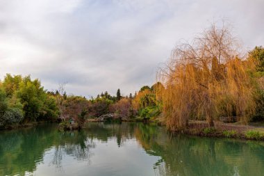 güney parkında gölet