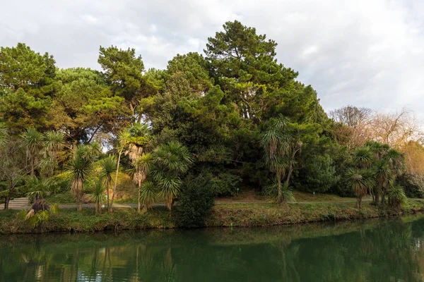 Landschap met een vijver in een zuidelijk Park — Stockfoto